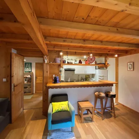 公寓 Cosy Au Pied Du Mtblanc 霞慕尼