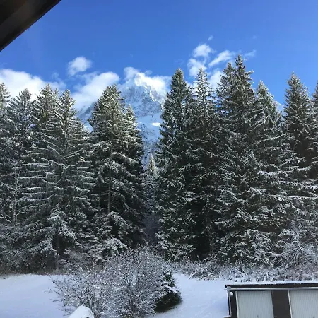 公寓 Cosy Au Pied Du Mtblanc