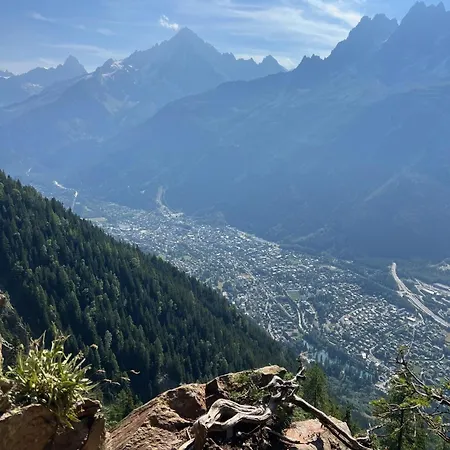 公寓 Cosy Au Pied Du Mtblanc