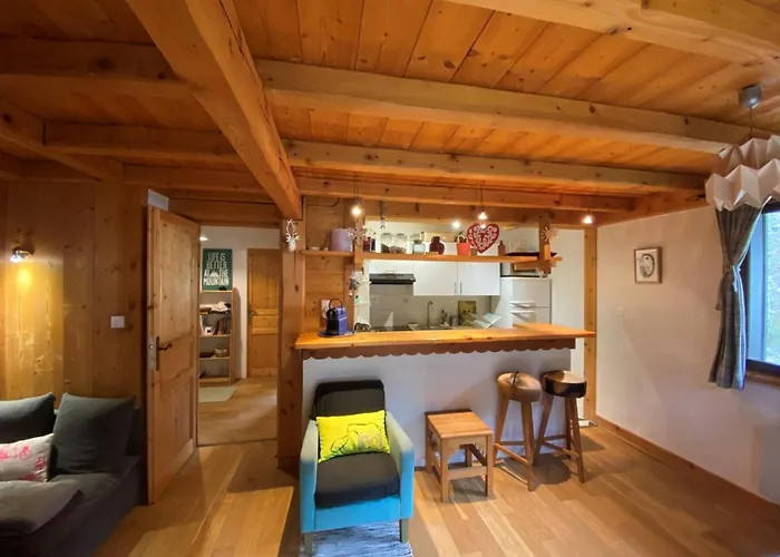 Apartment Cosy Au Pied Du Mtblanc Chamonix