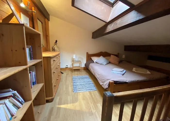 Cosy Au Pied Du Mtblanc Chamonix